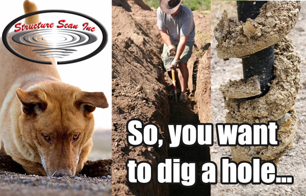 Dig Safe